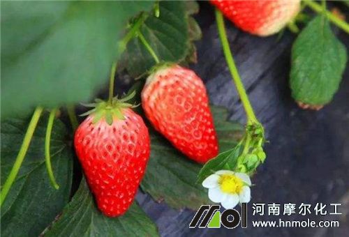 ��ݮ׷��ע��