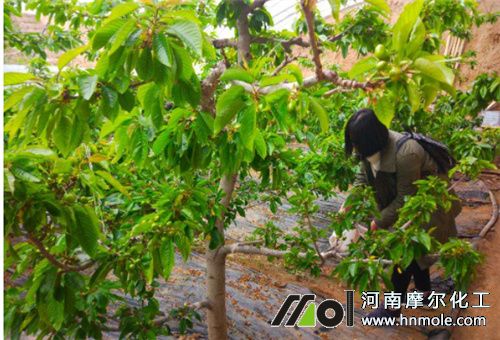 �ߵ��ˮ���÷�