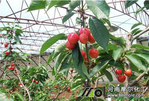 �����ʩ�ߵ�⛷�