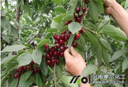 �����ʩ�ʷN�