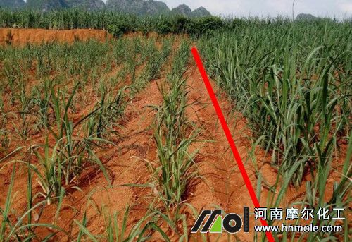 ˮ�ܷ��ڸ�����ʹ��Ч��