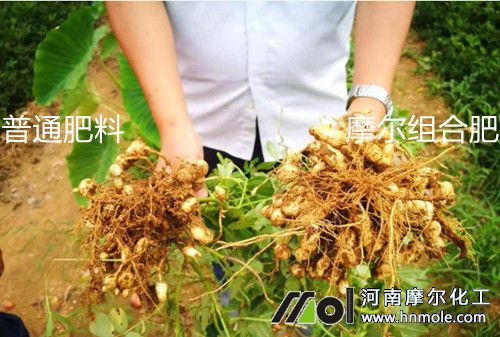 ����ʩ��Ч������