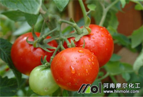 �S��ֳ��ˮ�ܷ��m���߲�