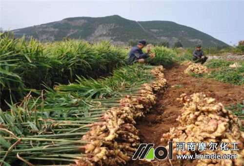 �S��ֳ��ˮ�ܷ��m�õ�������