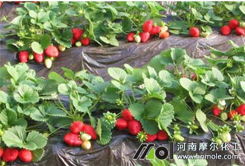 �S��ֳ��ˮ�ܷ��m�ùϹ�����