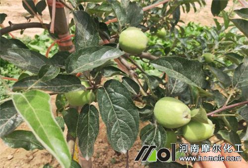 �����{�����N�3