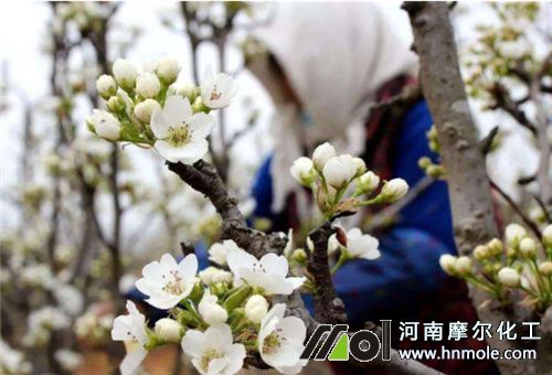 �����{�����N�2