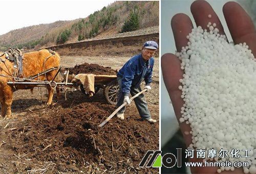 ����Ԫ�ص׷�