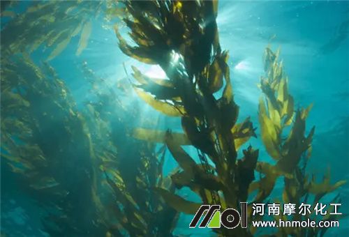 �����ֲ��