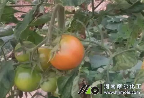 �����ʩ��