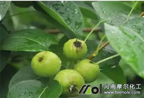 �����ʩ��