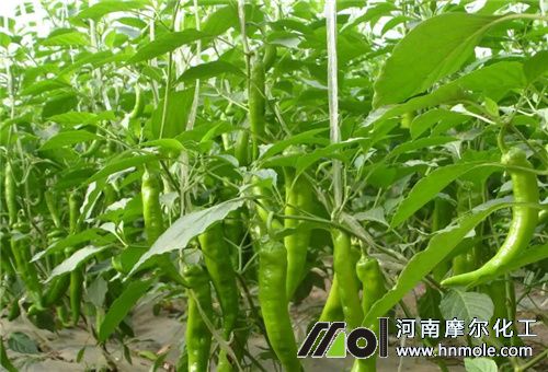 ��������ˮ�ܷ�