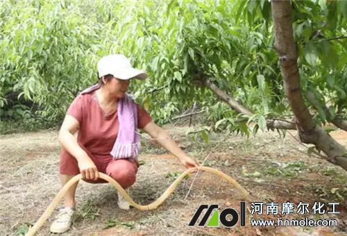 �Ҙ��ժ��ʩ��