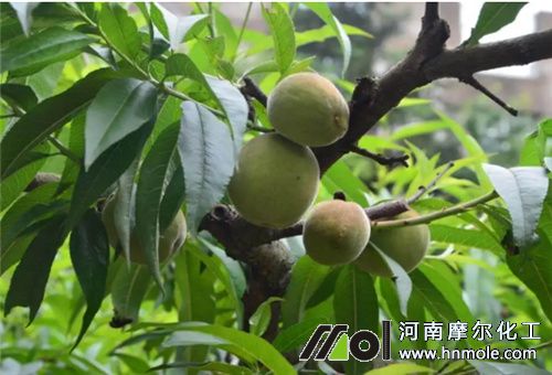 �Ҙ�߹�ʩ��