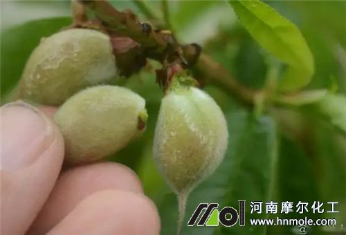 �Ҙ�����ʩ��