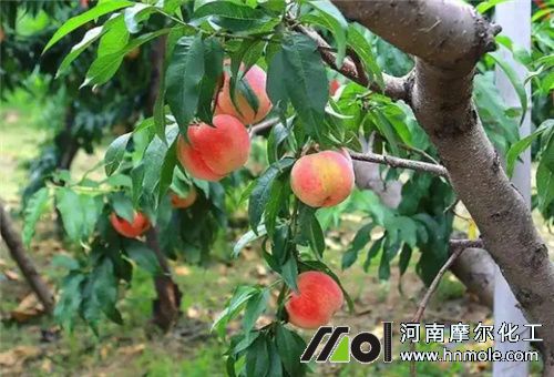 �Ҙ�Y��ʩ��