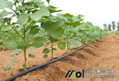 �ܽ��Է���ʩ�ʷ�ʽ