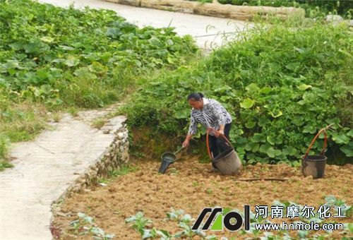 菌劑水溶肥用法 菌劑水溶肥用法