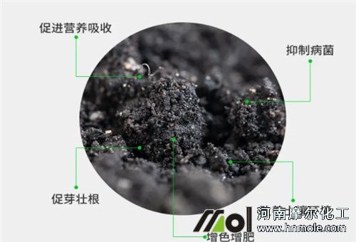 微生物菌肥 微生物菌肥