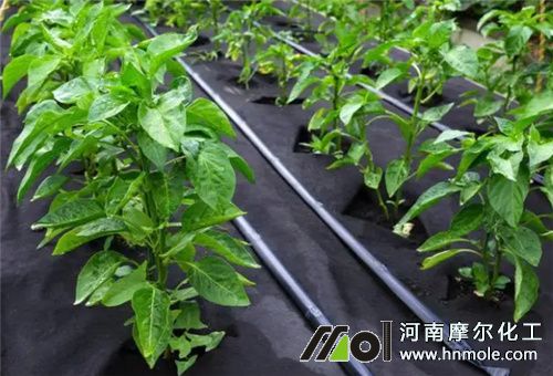 ����ˮ�ܷ�ʹ��ע��