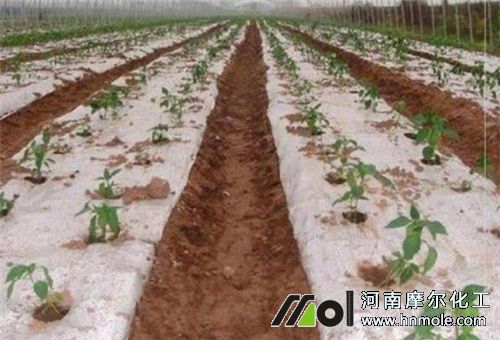 ����������׷��