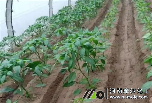 ����������׷��