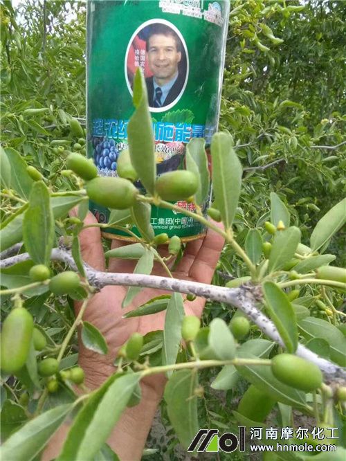 Ħ�������ڗ����ϵ�ʹ��Ч��