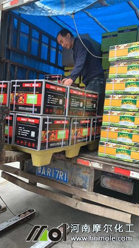 ������⛰l(f��)؛