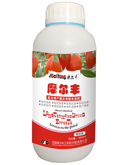 ����~���1000ml