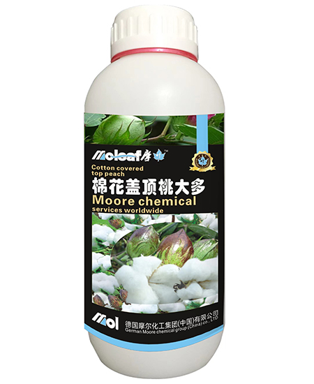 �޻��~���1000ml