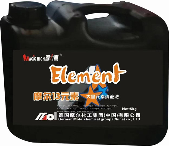 Ħ��ʮ��Ԫ��