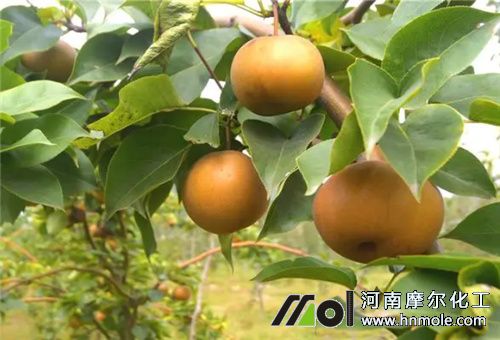 ���ˮ�ܷ����Ʒ���