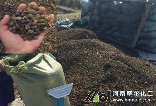 ���ʩ����