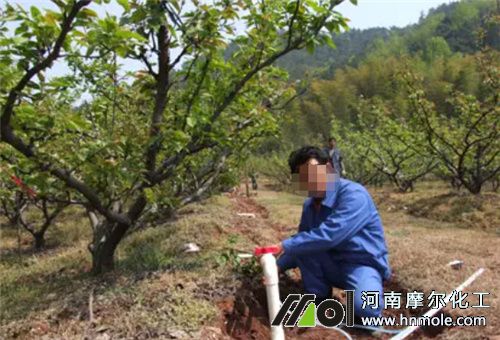 ���ι�ʩ��