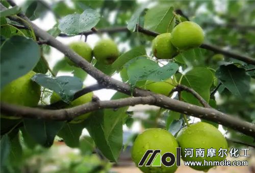 ���ˮ�ʛ_ʩ�r(sh��)�g