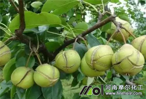 �ߝ��ˮ�ܷ�ʹ�ú��