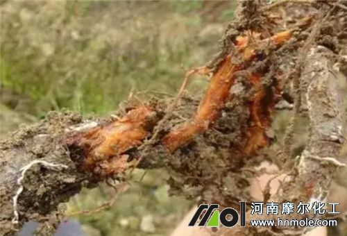 �ߝ��ˮ�ܷ�ʹ�ú��