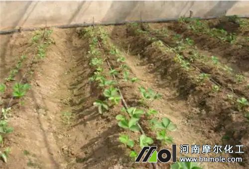 ˮ�ܷ�ʹ��Ҫ��