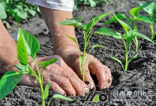 �������ڹ���