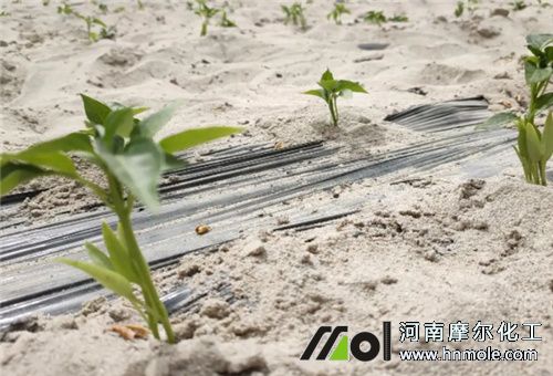 �������~�ڹ���