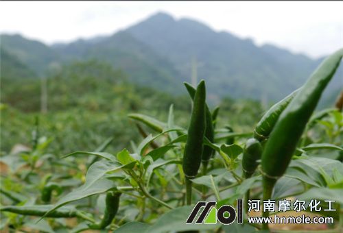 �����Y������