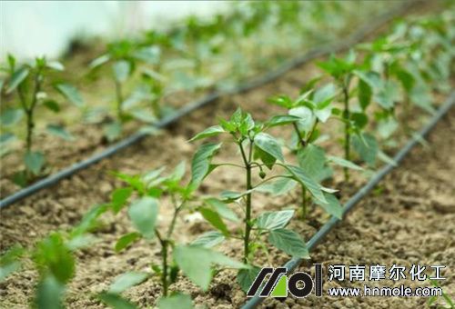 ��������r�g