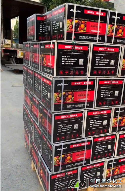 Ħ���~���230����l؛��2