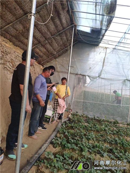 ��ݮ�Nֲ��