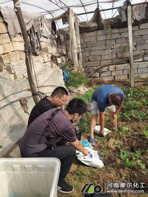 ��ݮ�Nֲ���÷�ָ��