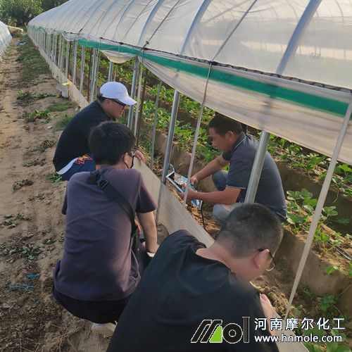 Ħ���ƏV��Ʒ����