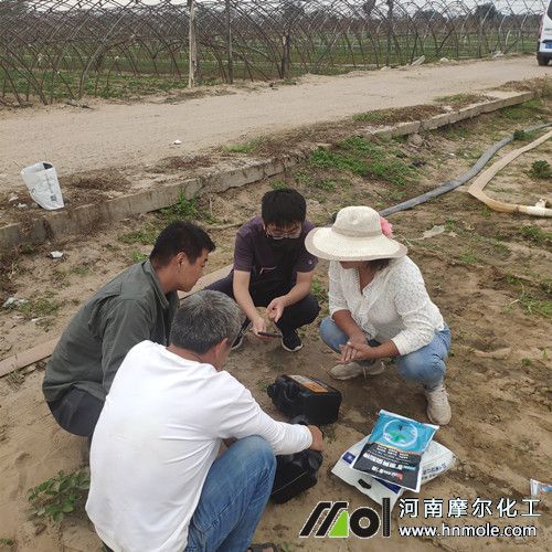 Ħ���ƏV��Ʒ����