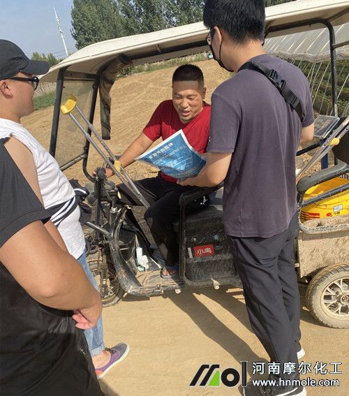 Ħ���ƏV��Ʒ����