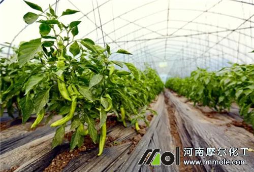 ��������ˮ�ܷ��x��