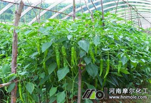 ��������ˮ�ܷ��x��